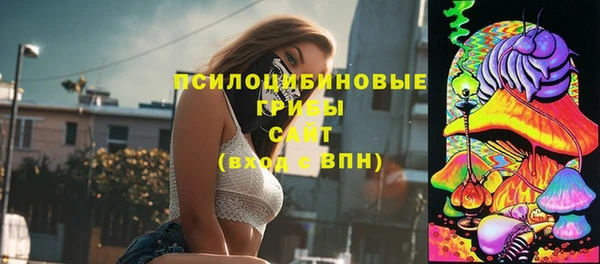гидра Остров