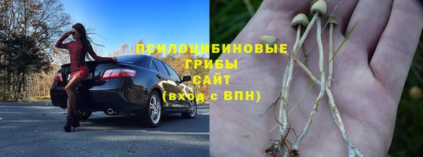 СК Няндома