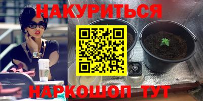 дурь Берёзовский