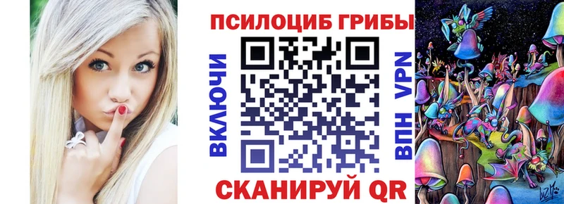 закладки  Усть-Лабинск  Галлюциногенные грибы GOLDEN TEACHER 
