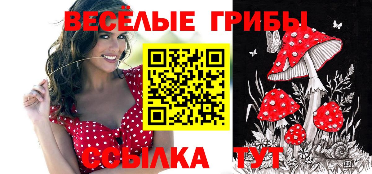 Псилоцибиновые грибы MAGIC MUSHROOMS Усть-Лабинск