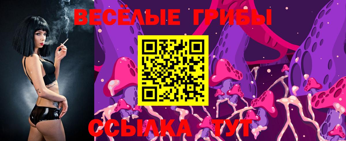 Псилоцибиновые грибы Psilocybine cubensis  Псилоцибиновые грибы мухоморы  Усть-Лабинск  Вход с VPN 
